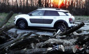 Citroen-C4-Cactus