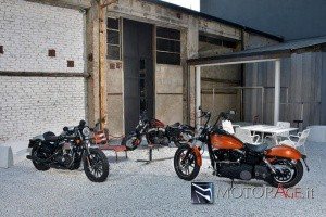 Harley-davidson-custom