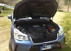 subaru-forester