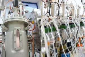fermenteurs-laboratoire-isobutene-global-bioenergies