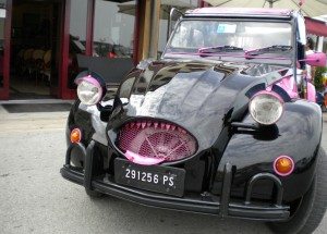 2cv_crazy_14
