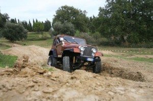 14_jeep cj5.jpg