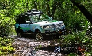 lr_range_rover_hybrid_forest