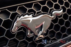 mustang-logo