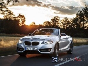 BMW 218 CABRIO (7)