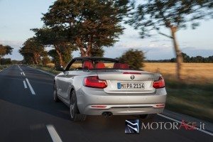 BMW 218 CABRIO (8)