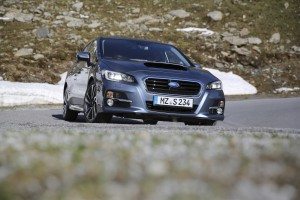 16LEVORG_EC_0060PPc