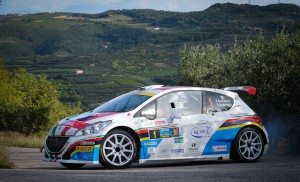 Peugeot Rally Andreucci Andreussi 2015 Due Valli 2