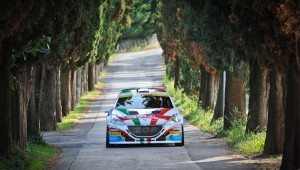 Peugeot Rally Andreucci Andreussi 2015 Due Valli 3