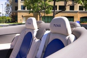 Puma seats-1