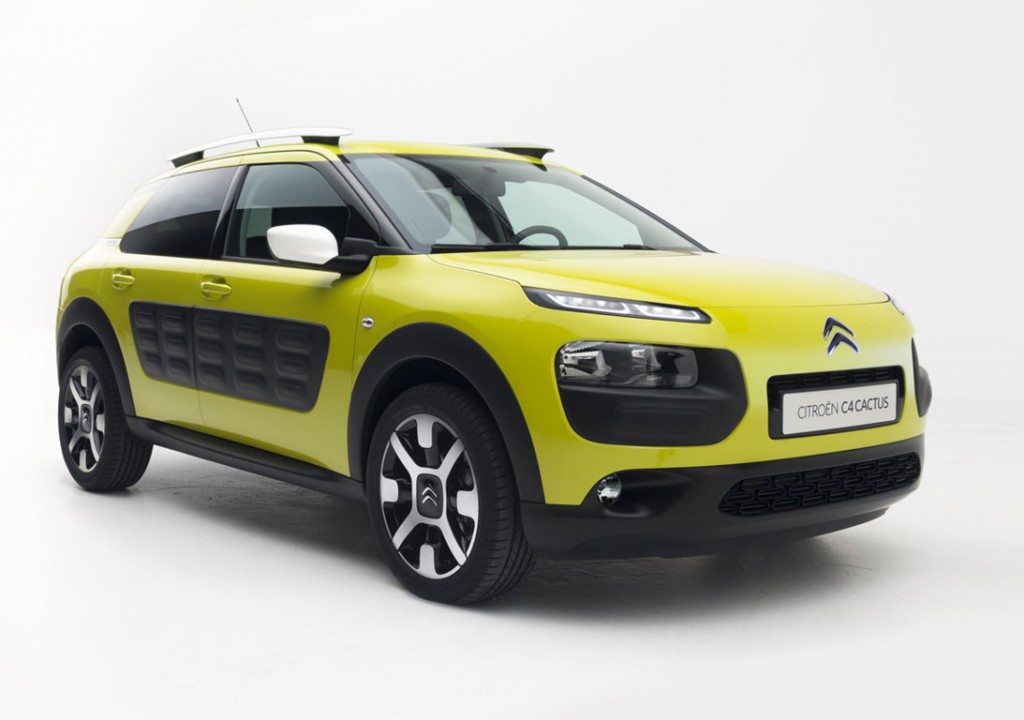 C4 CACTUS (2) (FILEminimizer)