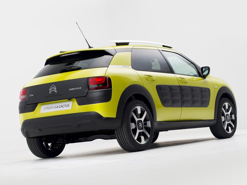 C4 CACTUS (3) (FILEminimizer)