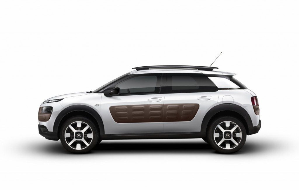 C4 CACTUS (7) (FILEminimizer)