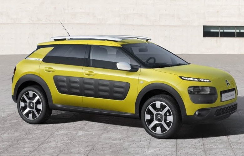 C4 CACTUS-immagine