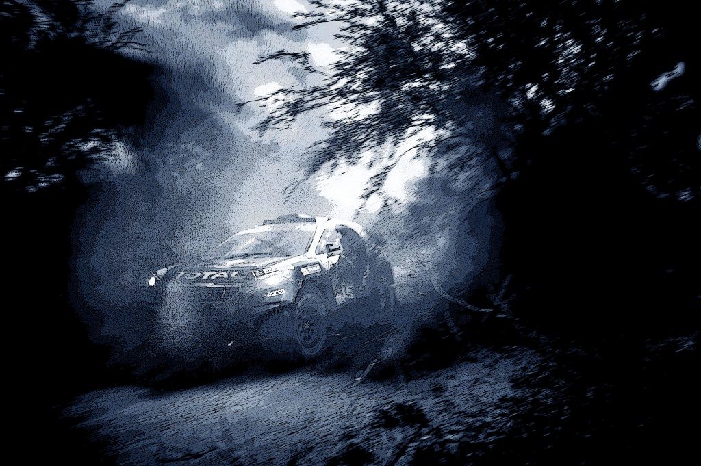Cyril Despres - Action